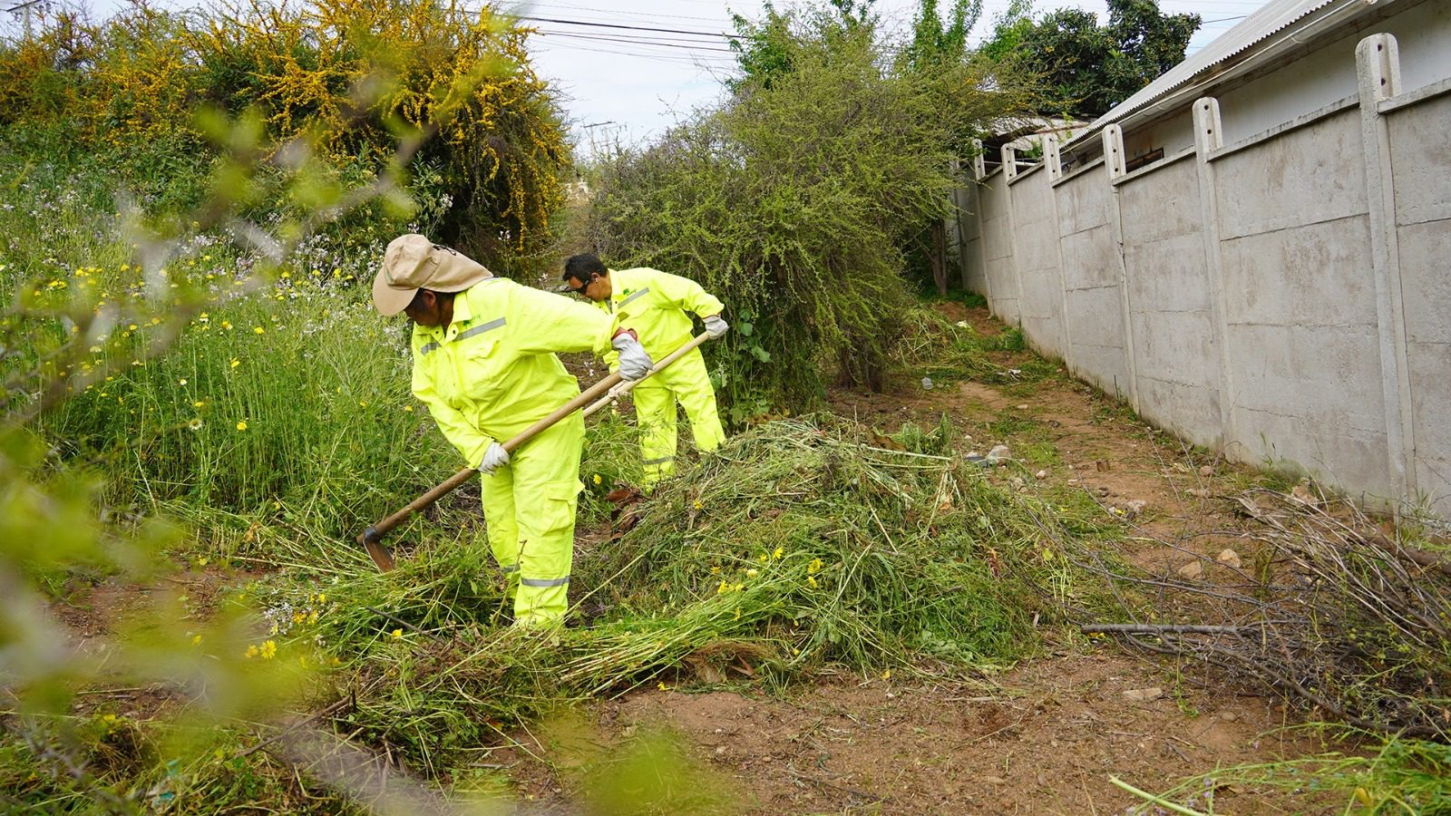 VILLA ALEMANA INVIERTE MÁS DE $350 MILLONES EN PLAN FORESTAL DE PREVENCIÓN DE CARA A LA TEMPORADA ALTA DE INCENDIOS