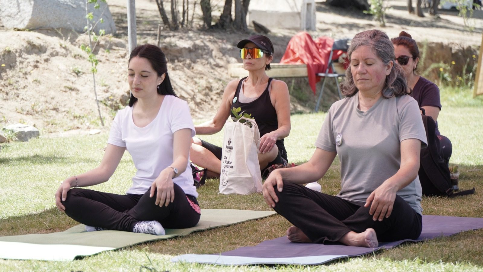 LOMBRICULTURA, SERIGRAFÍA Y VELAS DE SOJA: FERIA MEDIOAMBIENTAL DE VILLA ALEMANA, FEMAVA, SE CELEBRARÁ EN LA NATURALEZA CON MÁS DE 20 TALLERES GRATIS