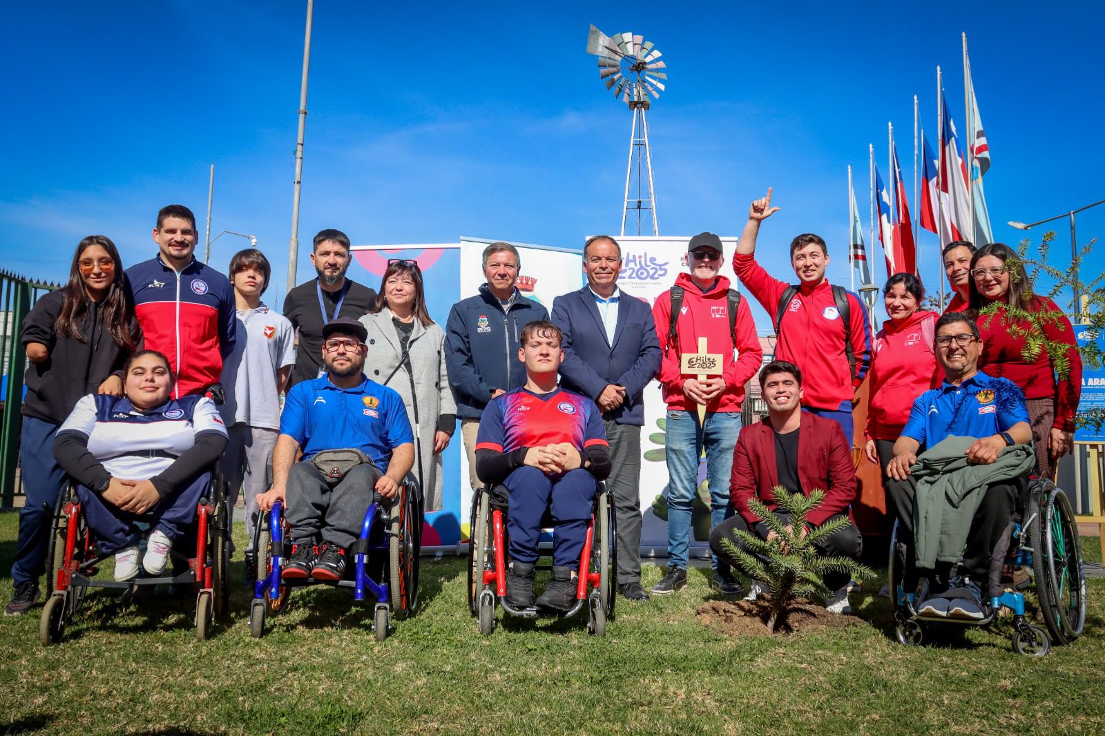 Plantan araucarias en Villa Alemana como símbolo de los Juegos Parapanamericanos Juveniles 2025