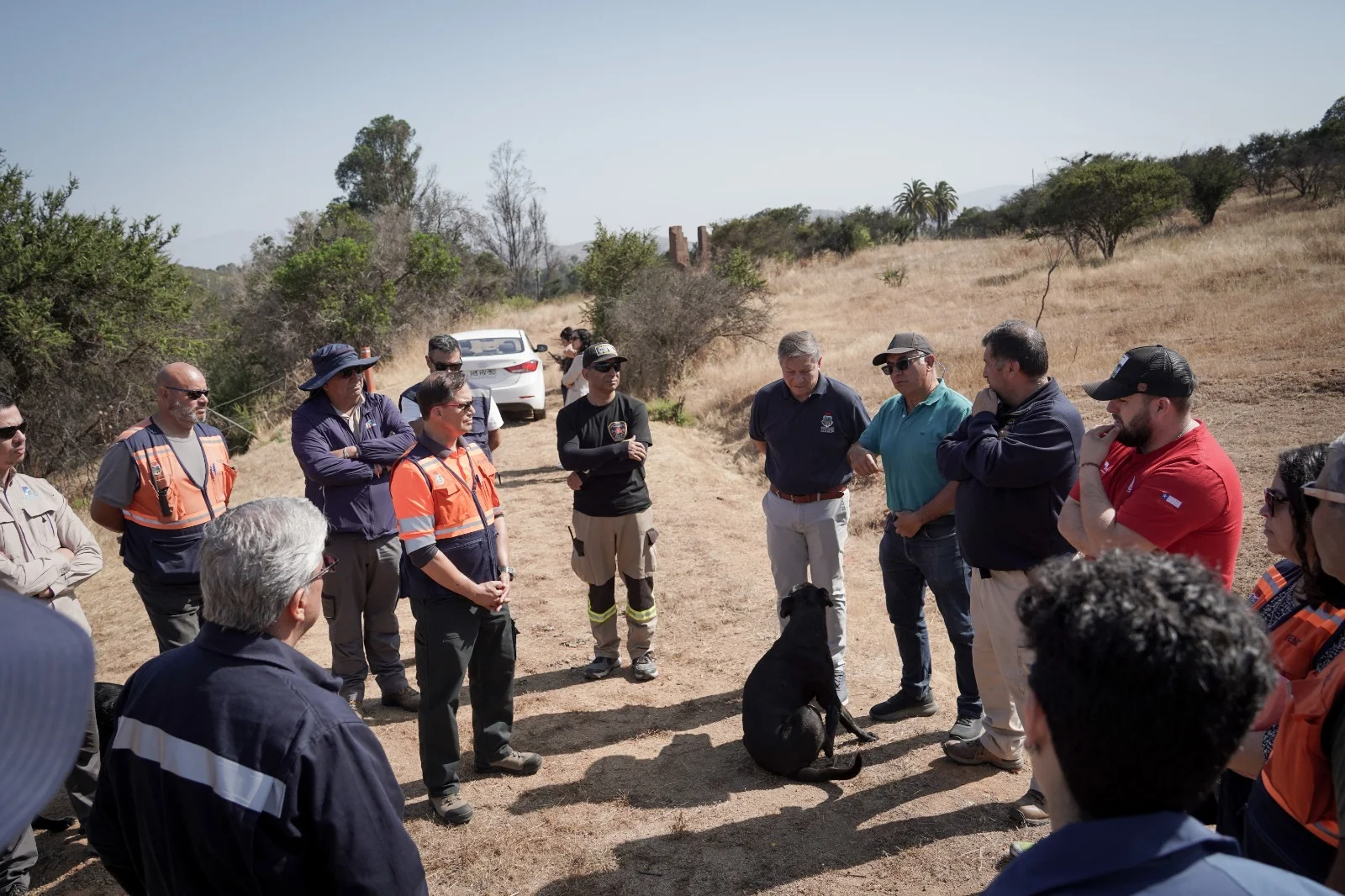 Municipalidad de Villa Alemana realiza operativo preventivo en zona de servidumbres ante riesgo de incendios