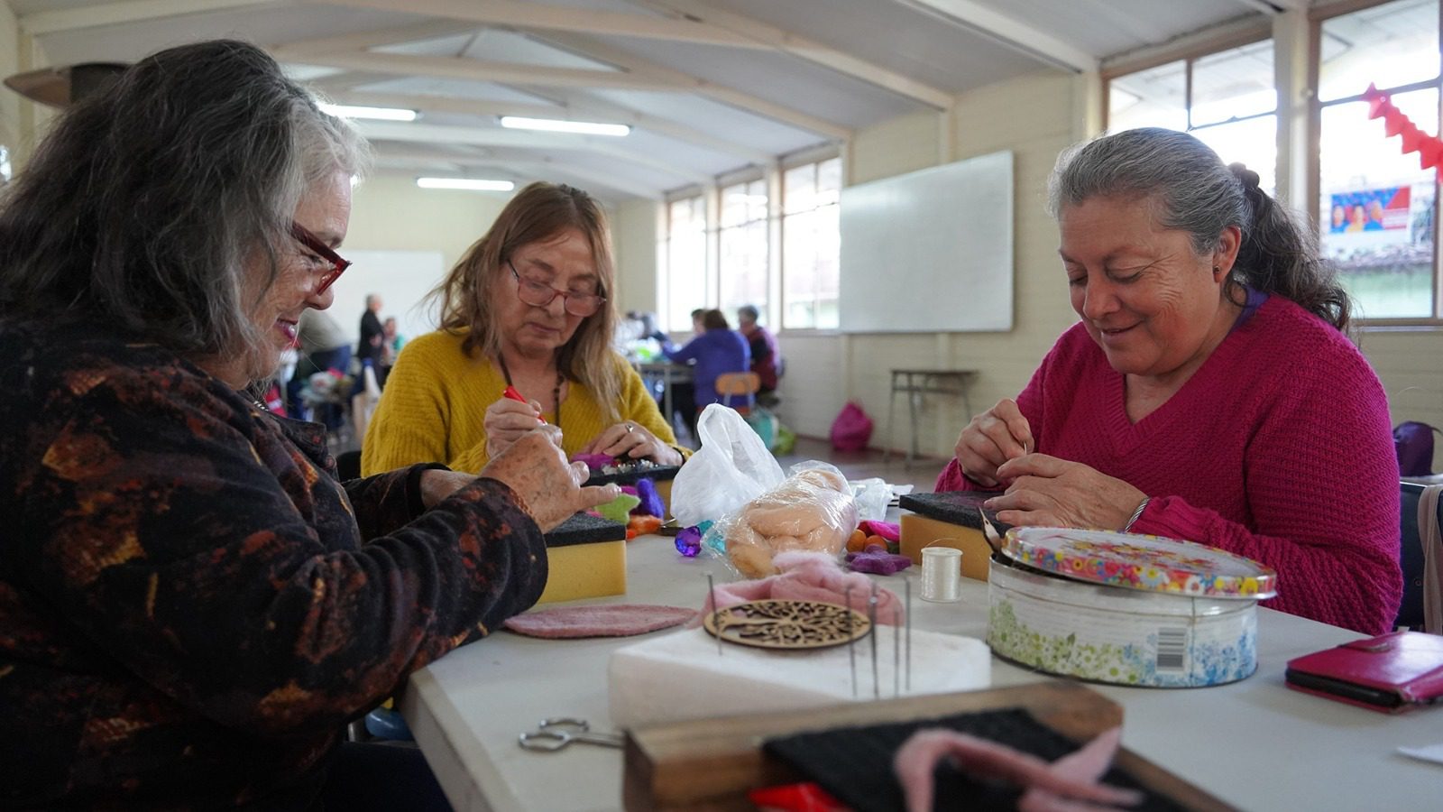 Participación en talleres para adultos mayores registra fuerte aumento en Villa Alemana