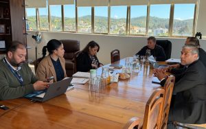 Primera sesión del Comité de Coordinación Operativa de Villa Alemana en el edificio consistorial.